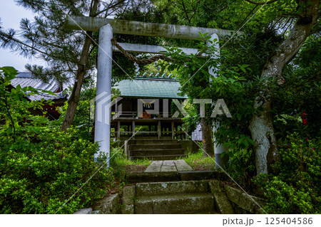 苔むす石段と鳥居が印象的な神社風景 苔むす石段と鳥居が印象的な神社風景 125404586