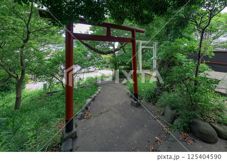 緑に包まれた森山神社の参道と鳥居 125404590