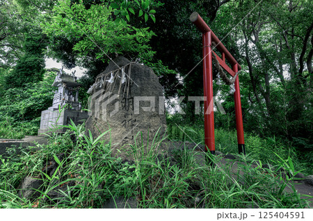自然と調和する葉山の森山神社 125404591