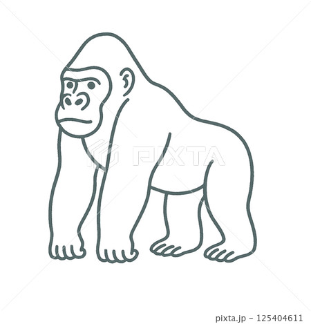 ゴリラの線画イラスト、シンプル、アイコン、素材、背景なし、動物シリーズ 125404611