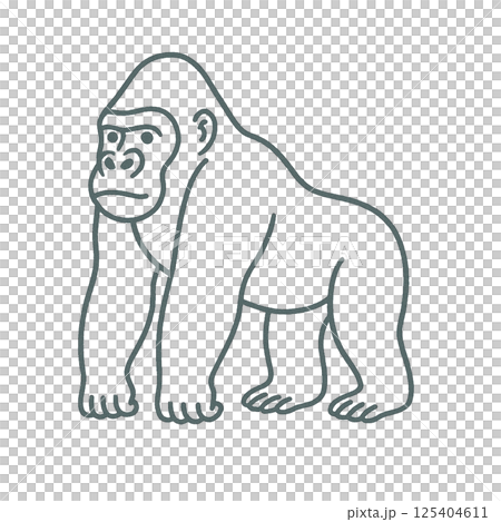 ゴリラの線画イラスト、シンプル、アイコン、素材、背景なし、動物シリーズ 125404611