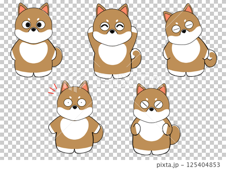 柴犬のポーズ集 柴犬のポーズ集 125404853