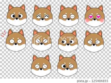 Shiba Inu front facial expression Shiba Inu front facial expression 125404855