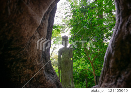 木の間から笠森観音像 125405040