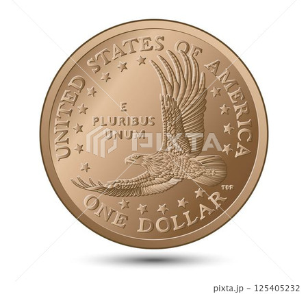 Coin one US dollar. American money. Vector illustration. 125405232