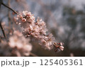 朝日 125405361