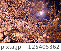 夜のライトアップされた夜桜 125405362