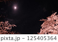 夜桜 125405364