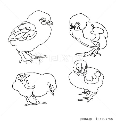 Single continuous line drawing set of chicks. Cute little chickens. One line design vector illustration Single continuous line drawing set of chicks. Cute little chickens. One line design vector illustration 125405700