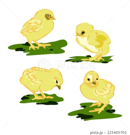Yellow chicken, little chick set. Sweet and adorable baby chick. A colorful and funny bird. Yellow chicken, little chick set. Sweet and adorable baby chick. A colorful and funny bird. 125405701