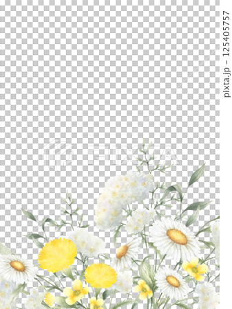 Postcard of watercolor wildflowers chamomile, dandelion, buttercup, yarrow and meadow grasses isolated floral illustration with copy space, A4. Hand drawn yellow and white flowers for invitations. 125405757