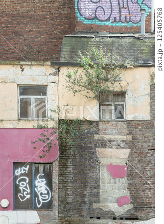 Trees growing through on brick wall and wooden window frames with Graffiti in glass and brick wall of old building. 125405768