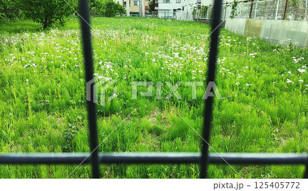 フェンスに囲まれた草原 125405772