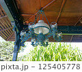 レトロな電灯 125405778