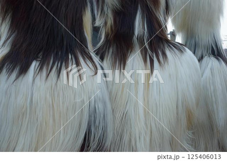 Kukeri Festival Costumes in Fur Close-Up View 125406013