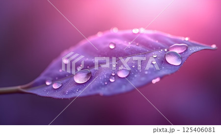 Leaf adorns dewdrops on a serene mauve backdrop 125406081
