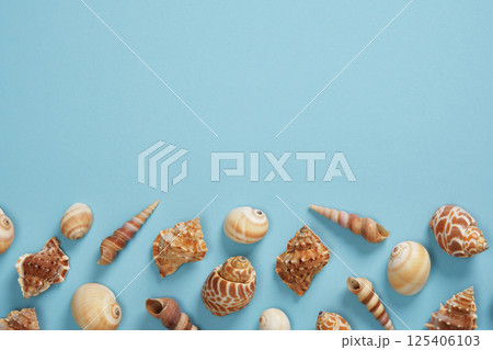 Summer nautical background with a variety of brown shells on a light blue backdrop. Place for your text. Summer nautical background with a variety of brown shells on a light blue backdrop. Place for your text. 125406103