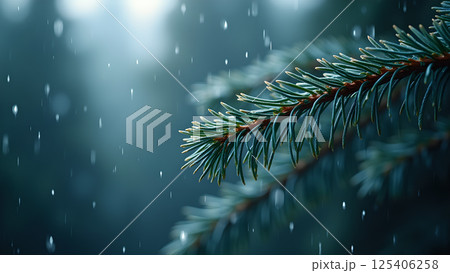 Fresh Green Lettuce Leaves Close-Up View 125406258