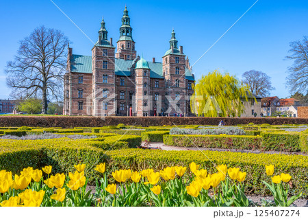 Rosenborg Castle showcases stunning renaissance architecture in Copenhagen, Denmark. Visitors admire the lush gardens and vibrant yellow tulips against a clear blue sky during spring. Rosenborg Castle showcases stunning renaissance architecture in Copenhagen, Denmark. Visitors admire the lush gardens and vibrant yellow tulips against a clear blue sky during spring. 125407274