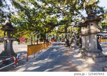 [住吉大社]大阪市内にある歴史深い神社 125407643