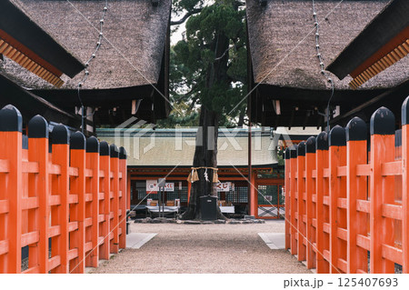 [住吉大社]大阪市内にある歴史深い神社 125407693