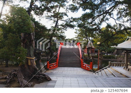 [住吉大社]大阪市内にある歴史深い神社 125407694