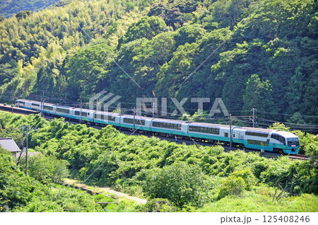 伊豆急行線 稲梓-河津 JR東日本 251系 RE編成(大宮) スーパービュー踊り子 伊豆急行線 稲梓-河津 JR東日本 251系 RE編成(大宮) スーパービュー踊り子 125408246