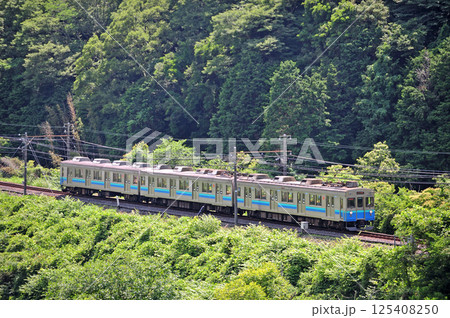 伊豆急行線 稲梓-河津 伊豆急 8000系 TB6編成 伊豆急行線 稲梓-河津 伊豆急 8000系 TB6編成 125408250