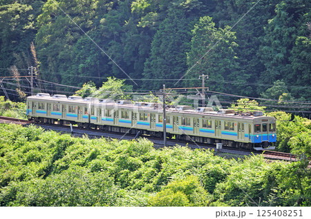 伊豆急行線　稲梓－河津　伊豆急　8000系　TB4編成 125408251