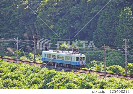 伊豆急行線 稲梓-河津 伊豆急 100系 103編成 伊豆急うたごえ電車 伊豆急行線 稲梓-河津 伊豆急 100系 103編成 伊豆急うたごえ電車 125408252