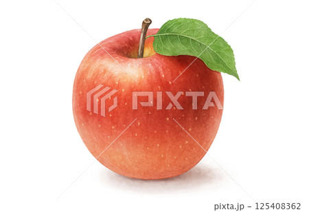 りんご イラスト 水彩 白バック 125408362
