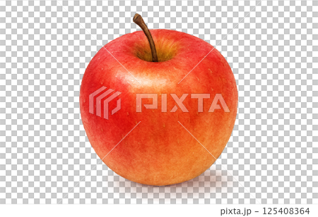 りんご イラスト 水彩 白バック 125408364