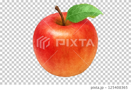 Apple illustration watercolor white background Apple illustration watercolor white background 125408365