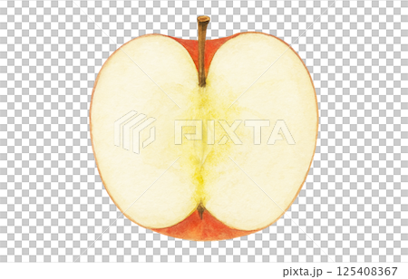 Apple illustration watercolor white background 125408367