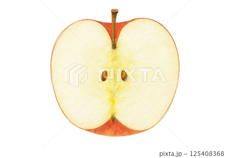 りんご イラスト 水彩 白バック 125408368