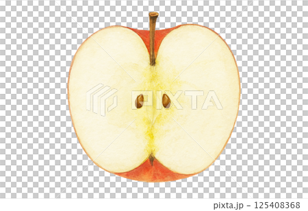 りんご イラスト 水彩 白バック 125408368