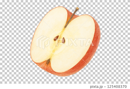 Apple illustration watercolor white background Apple illustration watercolor white background 125408370