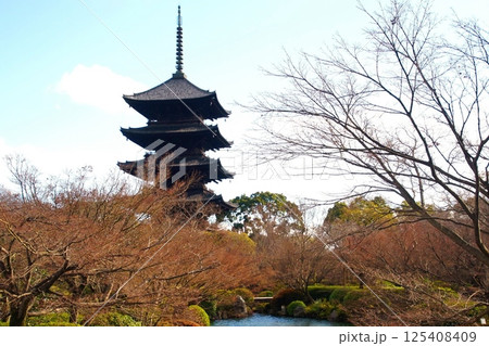 京都府 東寺・五重塔(国宝) 京都市 南区 九条町 2022年2月 京都府 東寺・五重塔(国宝) 京都市 南区 九条町 2022年2月 125408409