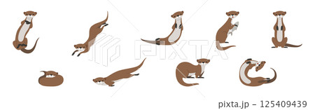 Sea Otter as Marine Mammal and Aquatic Creature with Brown Coat Vector Set 125409439