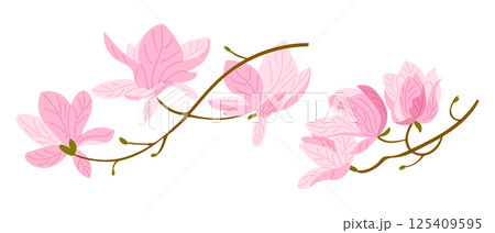 Hand drawn illustration of magnolia branches Hand drawn illustration of magnolia branches 125409595
