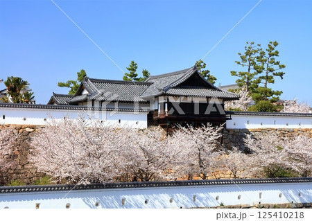 【広島県】桜咲く春の福山城（復興後）福山城桜まつり 125410218