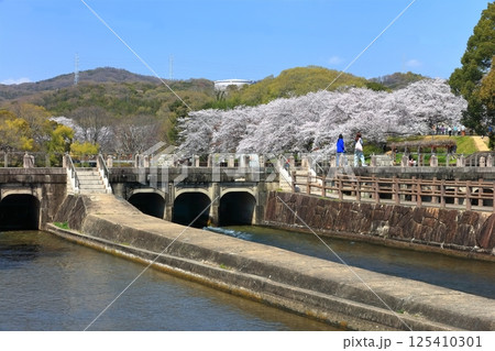 【岡山県】桜咲く春の酒津公園(高梁川東西用水取配水施設) 【岡山県】桜咲く春の酒津公園(高梁川東西用水取配水施設) 125410301