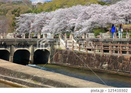 【岡山県】桜咲く春の酒津公園（高梁川東西用水取配水施設） 125410302