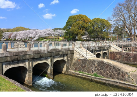 【岡山県】桜咲く春の酒津公園（高梁川東西用水取配水施設） 125410304