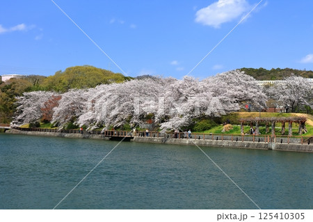 【岡山県】桜咲く春の酒津公園（高梁川東西用水取配水施設） 125410305