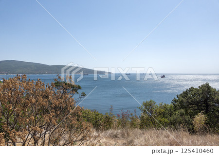 large sea vessel sailing cargo transportation Black Sea, port, Krasnodar Territory, Novorossiysk large sea vessel sailing cargo transportation Black Sea, port, Krasnodar Territory, Novorossiysk 125410460