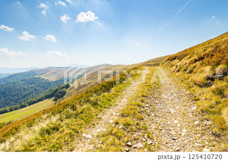 dirt road in carpathian mountains. countryside landscape. krasna ridge in summer. scenic view 125410720