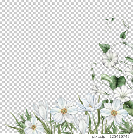 Delicate white anemones, wild morning glory, crocuses and green wild herbs. Watercolor botanical frame with flowers, suitable for wedding invitations, greeting cards, branding, floral packaging. Delicate white anemones, wild morning glory, crocuses and green wild herbs. Watercolor botanical frame with flowers, suitable for wedding invitations, greeting cards, branding, floral packaging. 125410745
