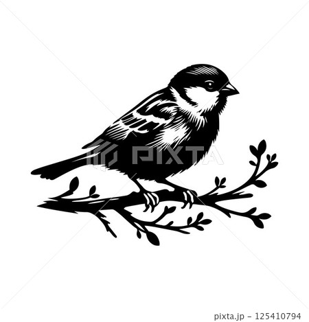 An elegant black and white sparrow bird silhouette perched on a branch. A stylized, black and white vector graphic of a sparrow perched on a branch. 125410794