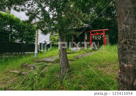 緑に包まれた森山神社の鳥居 葉山町 緑に包まれた森山神社の鳥居 葉山町 125411054